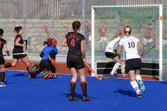 2014-X-19 Extraliga žen Hradec vs. HCH